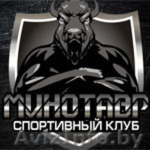 Тренировки по боксу,  ММА,  рукопашному бою,  Muay Thai в Могилеве #1363147