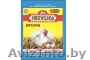 Витаминно-минеральная добавка (премикс) рябушка эконом,  500г #1364684