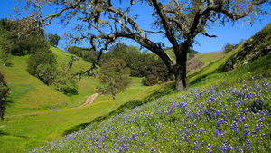 Продается хорошая уютная 2хкомн. квартира #1363767