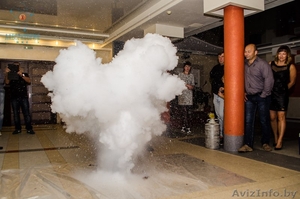 Крио шоу на свадьбу #1372471