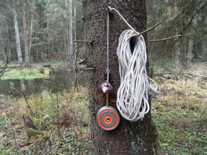 Аренда поискового магнита #1368983