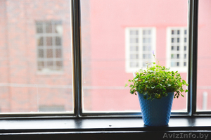 В  «Окнаград» акция: «Первые 100 окон ставим бесплатно»! #1372111