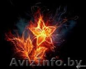Оклейка обоев: виниловые. флизелиновые,  бумажные. #1373003