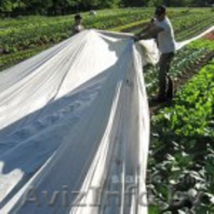 Спанбонд, Спанбел нетканое укрывное полотно для парников, грядок, деревьев, кустов #1372251