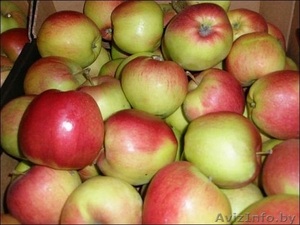 Яблоки оптом #688925