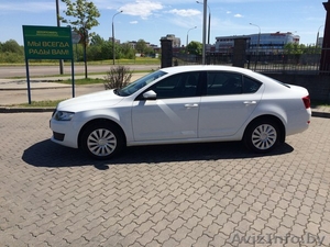 Прокат авто Шкода Октавия #1386661