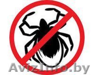 Обработка дачного участка от клещей #1387910