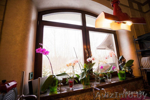 Окна пвх (ARtec,  KBE) и деревянные окна #1392289