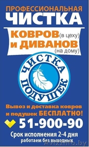 Профессиональная  #1385021