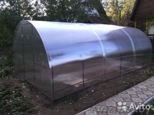 Теплицы в Мозыре #1379968