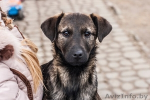 Бесплатное счастье #1394107