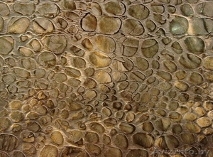 Штукатурка,  Шпатлевка,  отделка #1417626