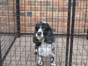 продам Вольер для собак   #1409052