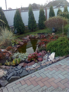 Ландшафтный дизайн вашего земельного участка в г. Иваново,  сбыт многолетних и однолетних цветов по Пинску,  тюльпаны на 8-е Марта #1407516