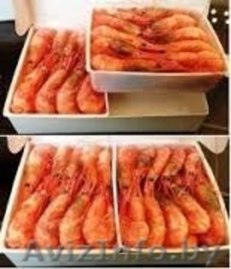 креветки в Минске купить #1405186