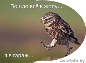 Куплю приватизированный гараж в Минске кирпичный/железобетонный до 3000 Звоните  #1409696