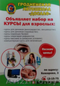 Обучающие курсы #1411167