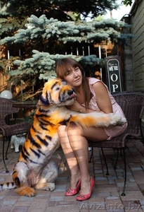 Профессиональный груминг собак и кошек. #1411773