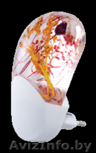 Ночник Весна в Витебске #1424557