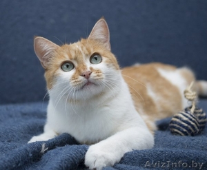 Евдокия в поисках  дома #1427363