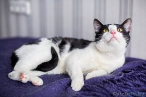 Малыш ищет семью #1441751