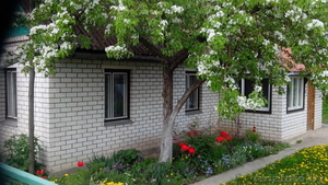 ул. ленинская, 20 #1433612