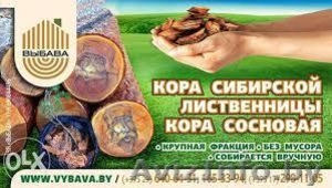 Кора сибирской лиственницы ,  кора сосновая #1172741