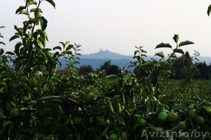 Земельные угодья в Чехии #1426944