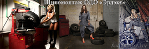Шиномонтаж ОДО «Эрдэкс»  #1446157