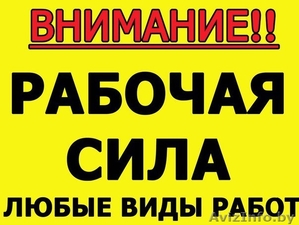 Рабочая сила МИНСК #1445027