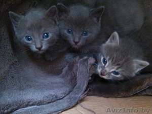 Мальчики и девочка ищут свои семьи #1441293