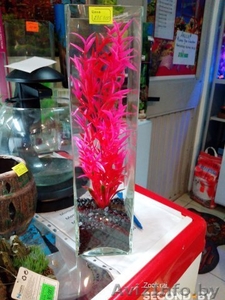 Аквариум-ваза с грунтом и растением #1449326