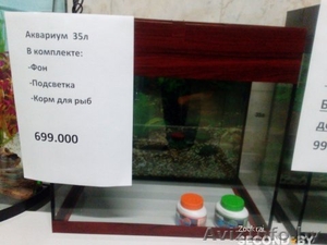 Аквариум 35 литров с подсветкой #1449332