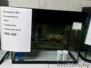 Аквариум 40 литров #1449329