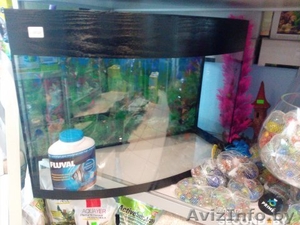 Аквариум 60 литров #1449340