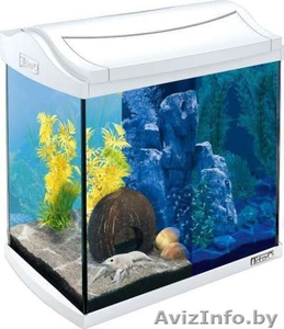 Аквариум Tetra 30л с полным оборудованием  #1449289