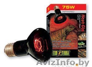 Инфракрасная лампа Heat Glo.Hagen для рептилий (150вт, 100вт, 75вт)  #1449208