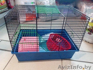 Клетка для грызунов 2 этажа, поилка, домик, колесо  #1449280