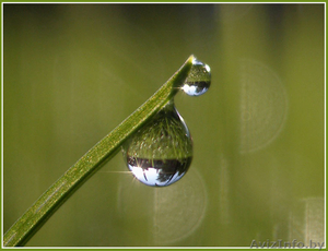 Бурение скважин на воду в Бобруйске и районе #1455890