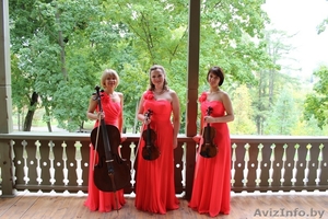 Струнное трио: 2 скрипки и виолончель. #1452504