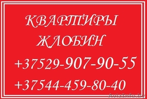 квартира на сутки (в Жлобине) #1448055