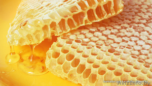 свежевыкачанный,  вкуснейший мёд.  Собственная пасека.  Скидки #1452201