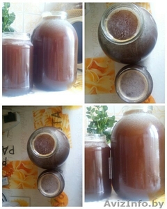 Продам мед лесной натуральный выкатка 2016 #1455320