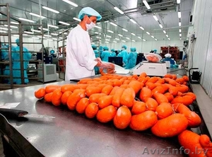На работу в Польше нужны упаковщики колбасных изделий #1468423