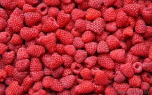 Продам малину оптом #1467256