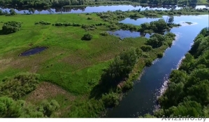 Коттедж на берегу реки в лесу #1464700