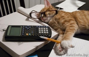 ИП Гончарик А.М. #1465750