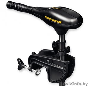 Лодочный электро-мотор Minn Kota ENDURA 45 CAMO #1476185