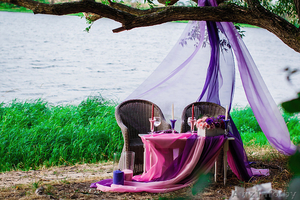 Организация свадьбы #1363789