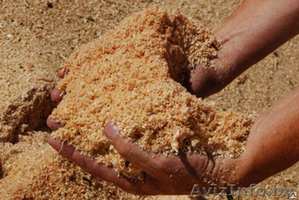 Опилки древесные #1483777